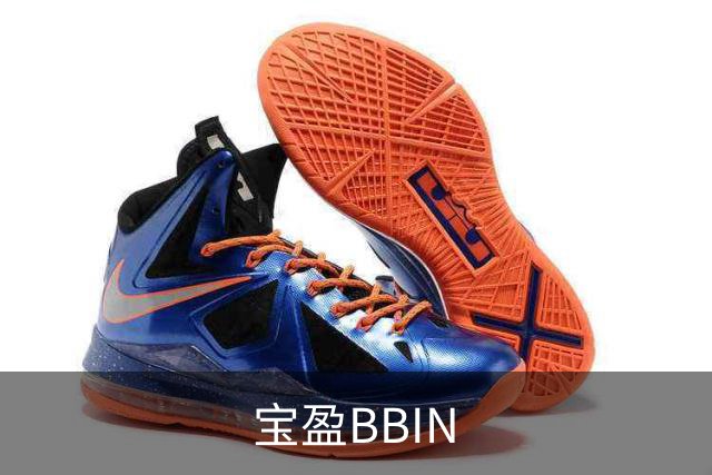 宝盈BBIN公司简介